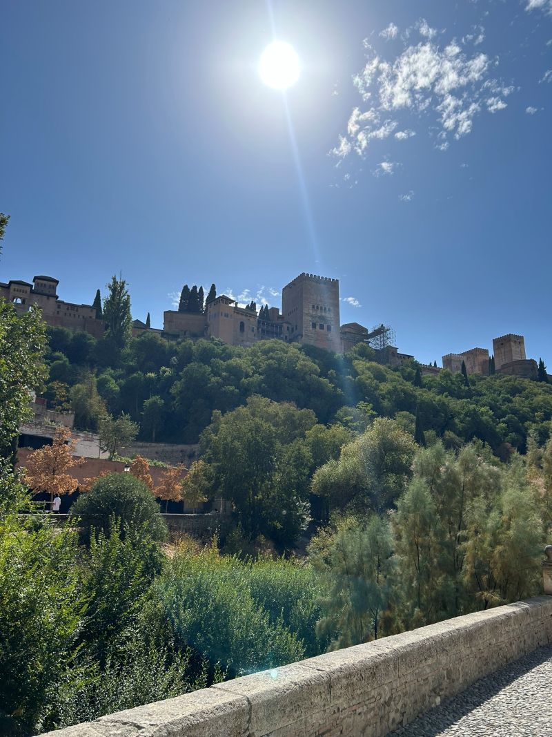 Qué hacer en un día en Granada
